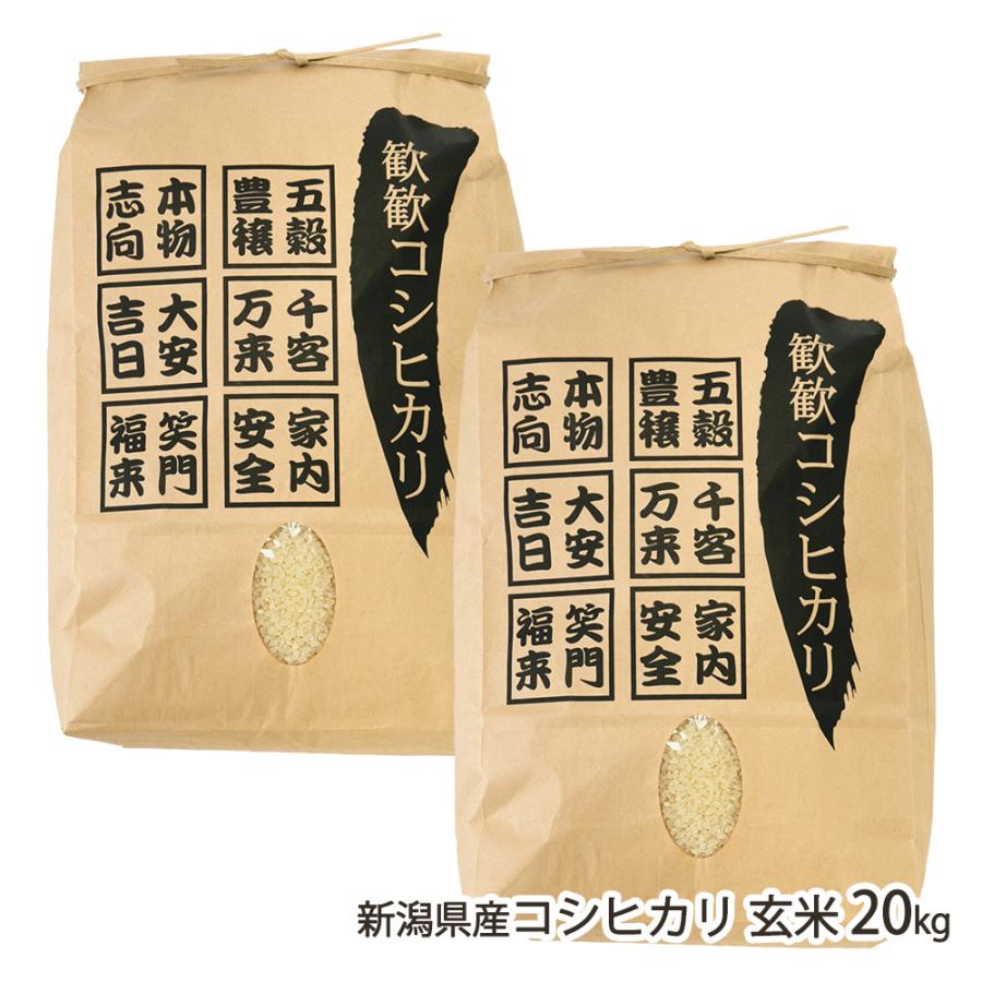 コシヒカリ 【令和7年度米】新潟県産 玄米 20kg（10kg×2袋）/濁川生産