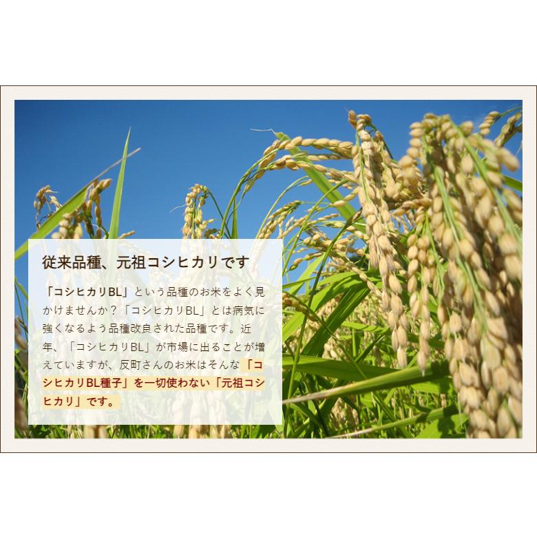 コシヒカリ 【令和7年度新米】無農薬・無化学肥料 新潟産