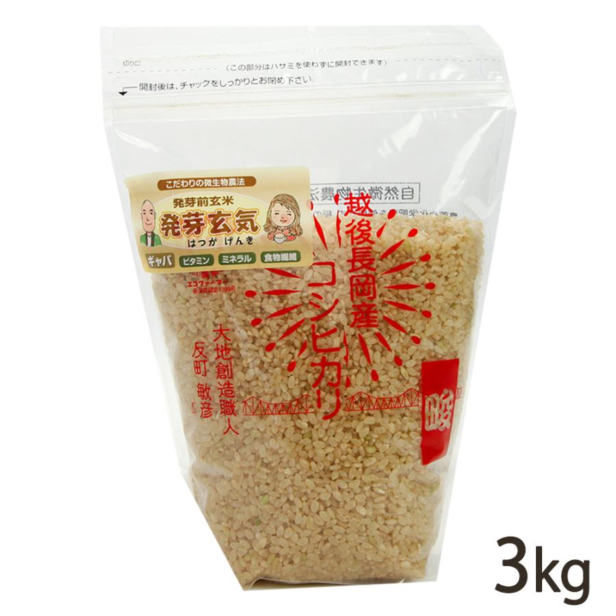 コシヒカリ 【令和7年度米】無農薬・無化学肥料 新潟産コシヒカリ