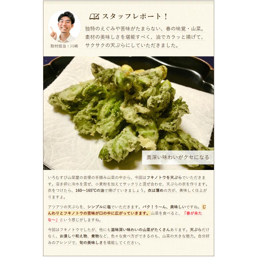 手摘み山菜5袋+山菜惣菜4種 詰め合わせ/いろむすび山菜屋/送料無料 父の日 お中元｜niigata-shop｜11