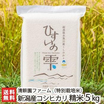 コシヒカリ 特別栽培米（減農薬・減化学肥料）新潟 糸魚川産コシヒカリ