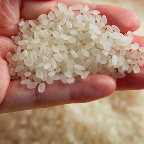 令和3年度米 新潟 北魚沼産 旬米コシヒカリ無洗米5kg さくらや農園 父の日にも ギフトにも のし無料 送料無料 0292 001 02 新潟直送計画 通販 Yahoo ショッピング