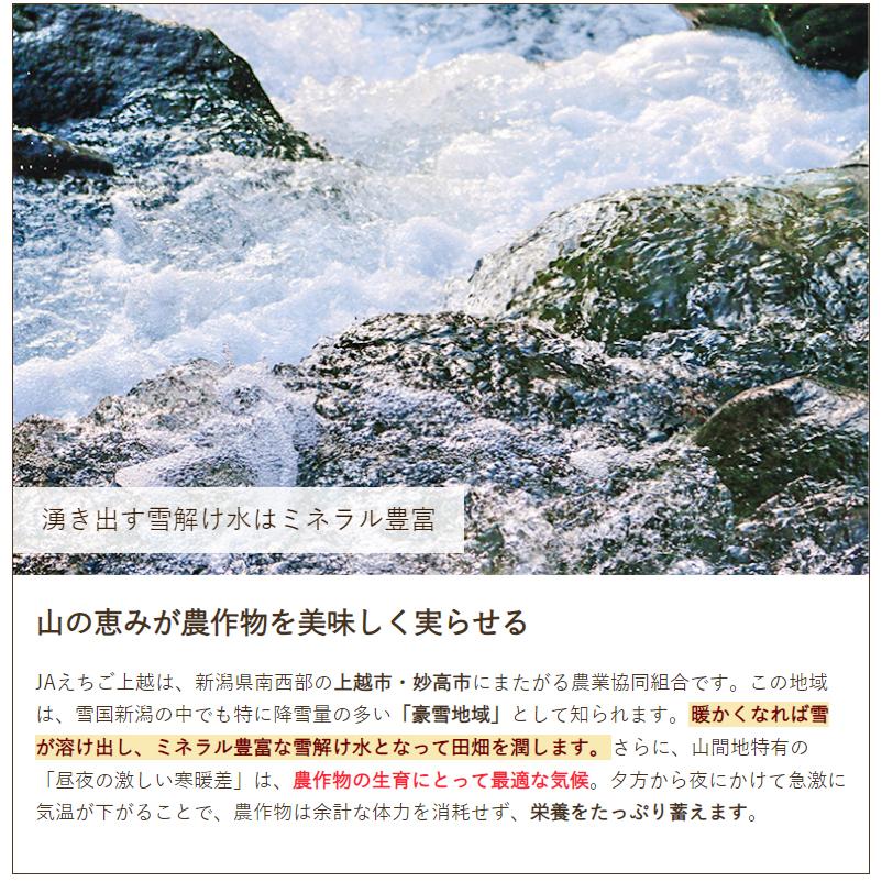新潟県産 枝豆 1kg（250g×4袋）/JAえちご上越 あるるんの杜/送料無料｜niigata-shop｜04