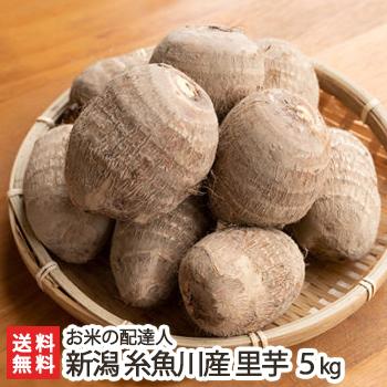 新潟 糸魚川産 里芋 送料無料 納得できる割引 正規品販売 お米の配達人 5kg