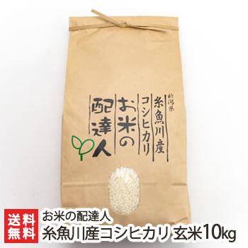令和6年度産米 新潟 糸魚川産 コシヒカリ 玄米10kg お米の配達人