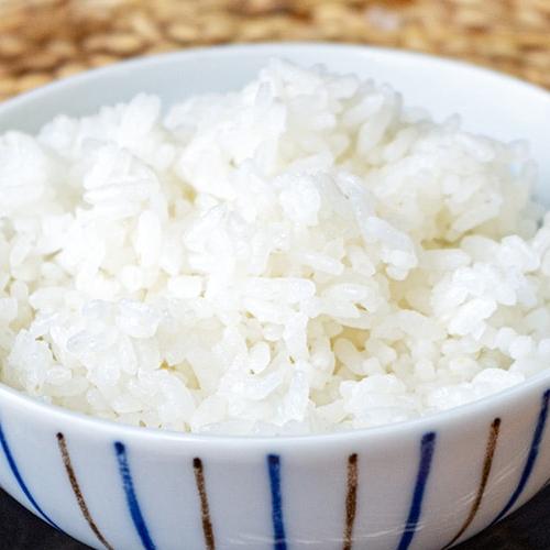 令和6年度産米 新潟 糸魚川産 コシヒカリ 玄米10kg お米の配達人/送料