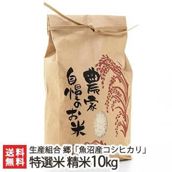 コシヒカリ 【令和7年度米】魚沼津南産コシヒカリ 特選米 精米10kg