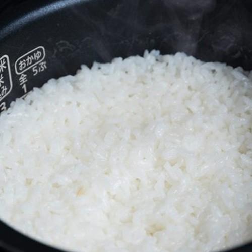 【令和7年度米】岩船産コシヒカリ タカネノ山棚田米 精米2kg 農家民宿ざいごもん/ギフト/ギフトにも！/のし無料/送料無料 | コシヒカリ | 01