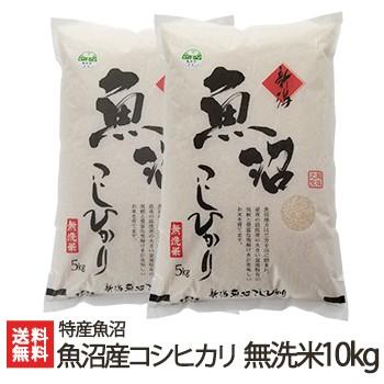 コシヒカリ 令和6年度産米 魚沼産 無洗米 10kg（5kg×2）/特産魚沼/送料