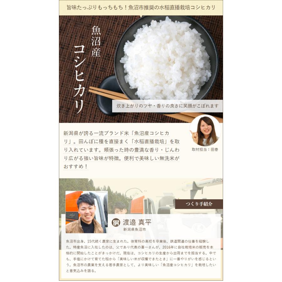 コシヒカリ 令和6年度産米 魚沼産 精米 10kg（5kg×2）/特産魚沼