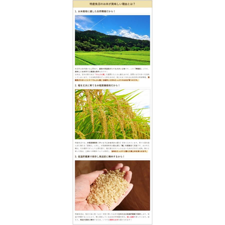 【令和6年5月精米10kg 】伊丹米 新潟県魚沼産コシヒカリ Amazon.co.jp: 【精米】 新潟県魚沼産 伊丹米 コシヒカリ 10kg