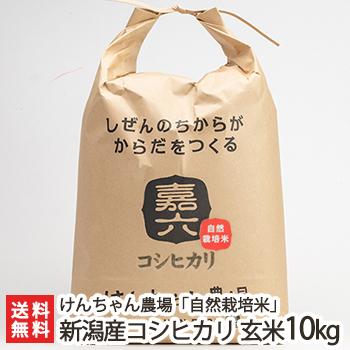 コシヒカリ 【令和7年度米】新潟県産 自然栽培米（無農薬・無化学肥料