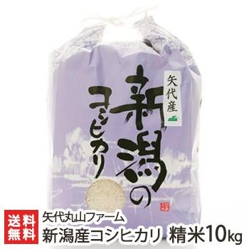 【令和5年度米】新潟 妙高矢代産コシヒカリ 精米10kg 矢代丸山ファーム/ギフトにも！/のし無料/送料無料 父の日 お中元｜niigata-shop