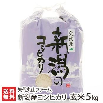 コシヒカリ 【令和7年度米】新潟 妙高矢代産コシヒカリ 玄米5kg/矢代