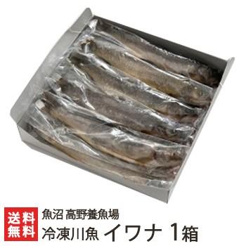 新潟産 冷凍川魚 イワナ 1箱（11尾入り）魚沼 高野養魚場/ギフトにも！/のし無料/送料無料｜niigata-shop