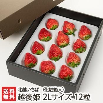 越後姫 2lサイズ 12粒 化粧箱入り 北越いちば 新潟産ブランド苺 のし 熨斗 無料 送料無料 0335 001 01 新潟直送計画 通販 Yahoo ショッピング