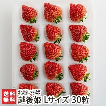 越後姫 Lサイズ 30粒 北越いちば/新潟産ブランド苺/のし（熨斗）無料/送料無料 | 