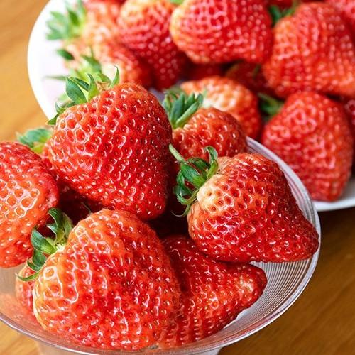 越後姫 Lサイズ 30粒 北越いちば/新潟産ブランド苺/のし（熨斗）無料/送料無料 |  | 02