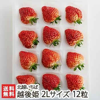 越後姫 2Lサイズ 12粒 北越いちば/新潟産ブランド苺/のし（熨斗）無料/送料無料 | 