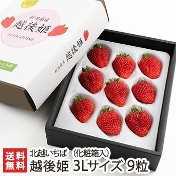 越後姫 3Lサイズ 9粒（化粧箱入り） 北越いちば/新潟産ブランド苺/のし（熨斗）無料/送料無料 | 