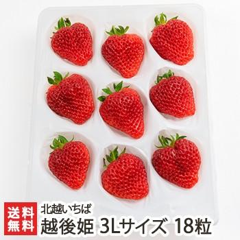越後姫 3Lサイズ 18粒  北越いちば/新潟産ブランド苺/のし（熨斗）無料/送料無料 | 