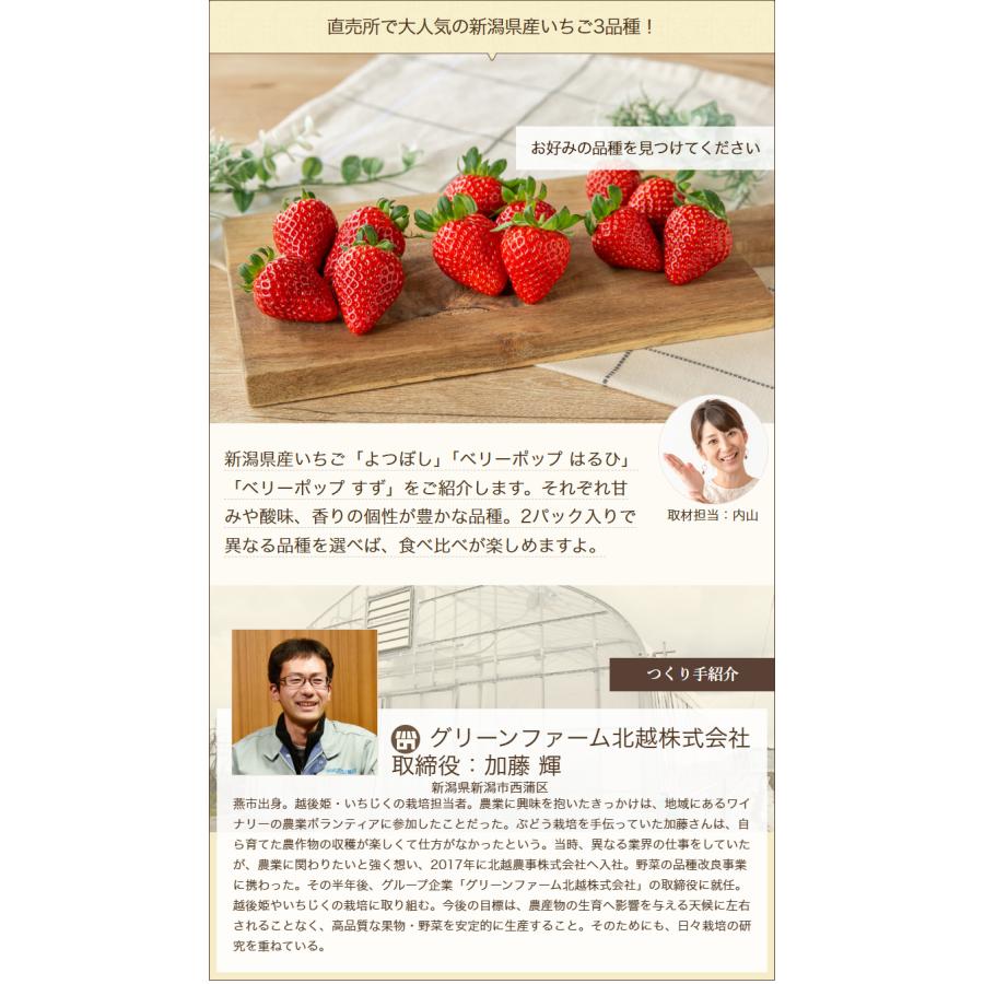 新潟県産いちご L〜2Lサイズ 選べる1パック ※品種をお選びください/北越いちば/送料無料 |  | 01