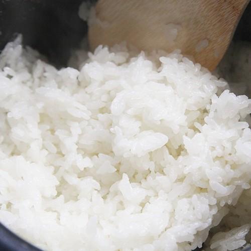 コシヒカリ 【令和7年度新米】新潟 ささかみ産 精米5kg JA新潟かがやき