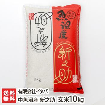 令和7年度米】新潟産 新之助 玄米10kg（5kg×2）/有限会社イタバ/のし