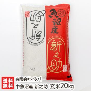 令和7年度米】新潟産 新之助 玄米20kg（5kg×4）/有限会社イタバ/のし
