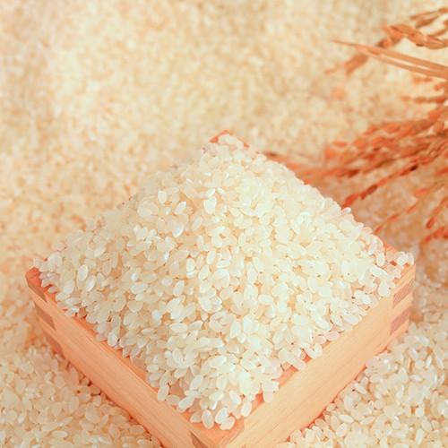 令和7年度米】新潟産 新之助 玄米20kg（5kg×4）/有限会社イタバ/のし