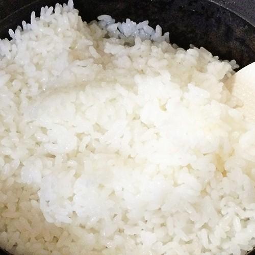令和7年度米】新潟産 新之助 玄米20kg（5kg×4）/有限会社イタバ/のし