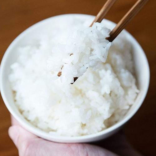 令和7年度米】新潟産 新之助 玄米20kg（5kg×4）/有限会社イタバ/のし