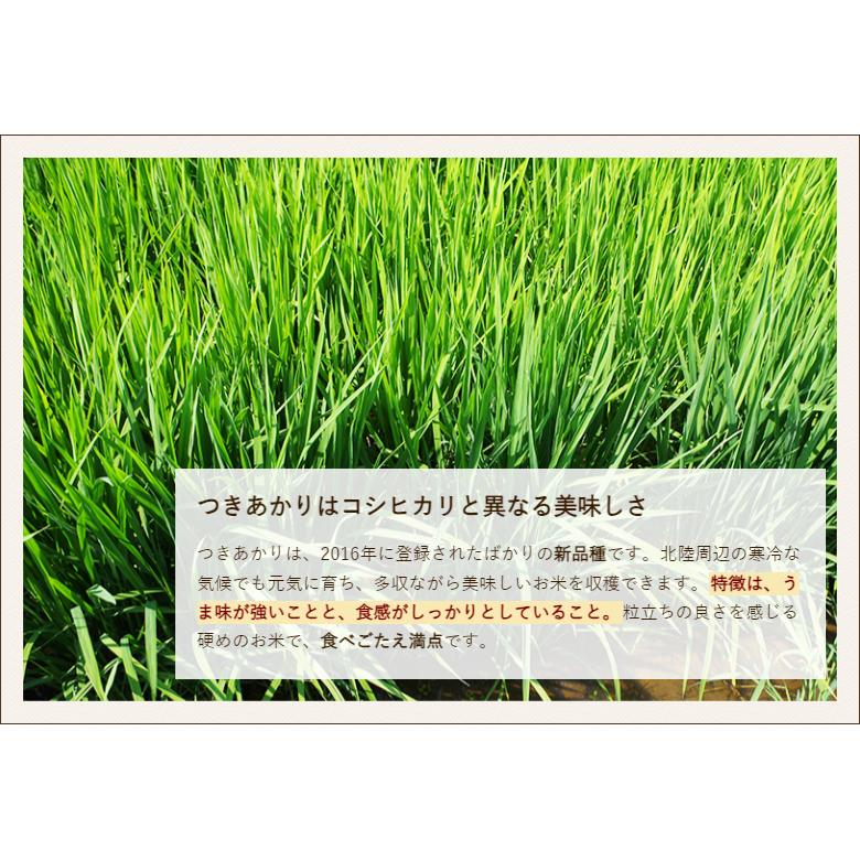 令和7年度米】新潟産つきあかり精米5kg/小林園芸/送料無料 : 新潟直送