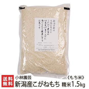 こがねもち 令和6年度産米 新潟産こがねもち（もち米）精米1.5kg/小林