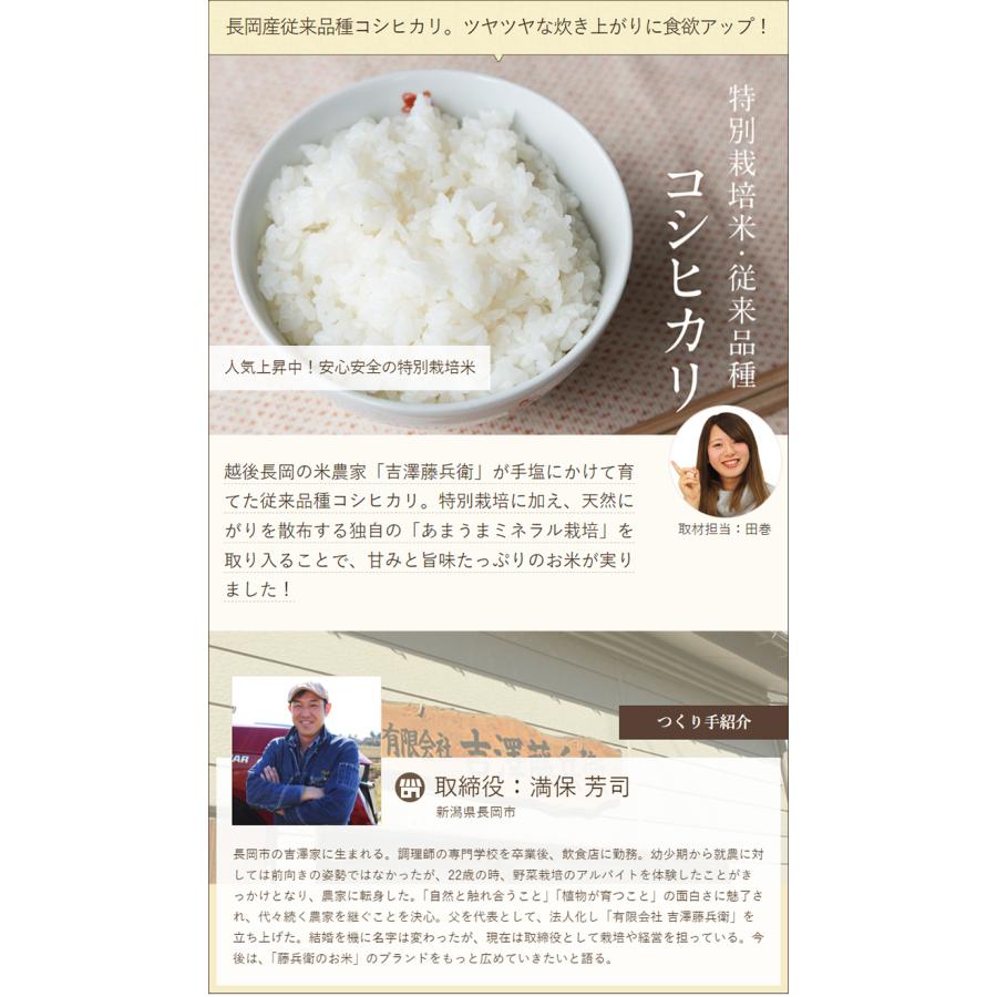 コシヒカリ 令和6年度産米 特別栽培米(減農薬・減化学肥料 コシヒカリ 令和6年度産米 特別栽培米(減農薬・減化学肥料