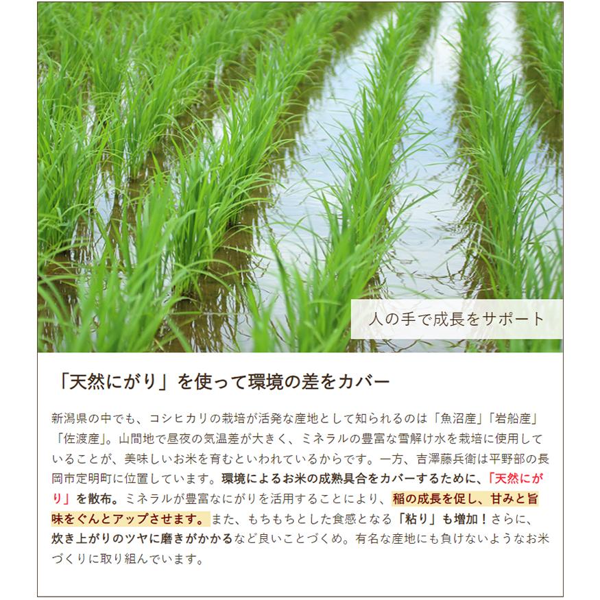 コシヒカリ 令和6年度産米 特別栽培米(減農薬・減化学肥料 コシヒカリ 令和6年度産米 特別栽培米(減農薬・減化学肥料