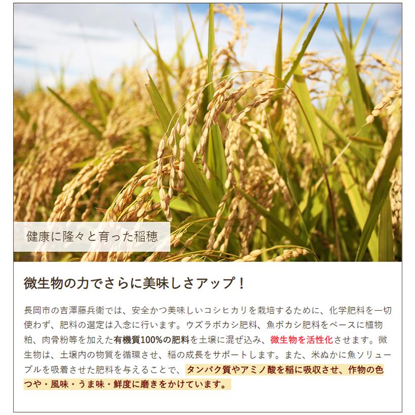 コシヒカリ 令和6年度産米 特別栽培米(減農薬・減化学肥料 コシヒカリ 令和6年度産米 特別栽培米(減農薬・減化学肥料