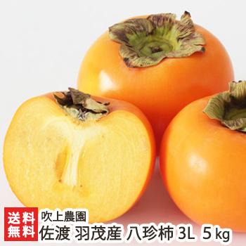 贈答用 佐渡 羽茂産 八珍柿 3lサイズ 5kg 18玉 吹上農園 のし無料 送料無料 03 001 03 新潟直送計画 通販 Yahoo ショッピング