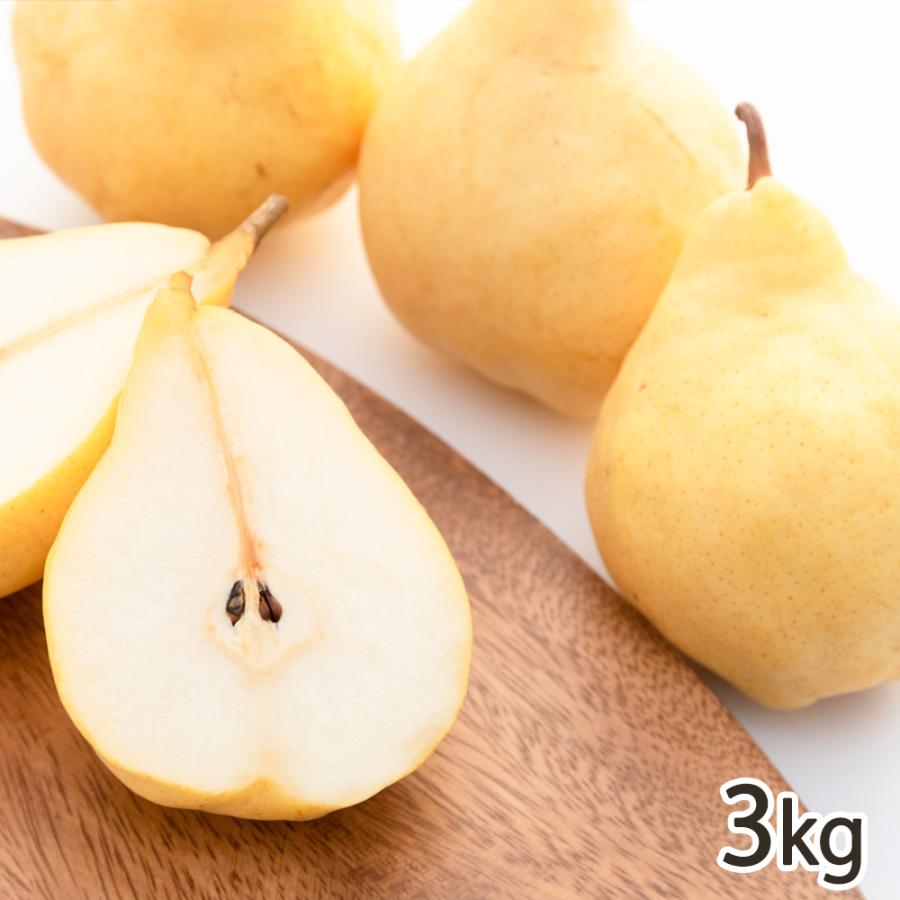 贈答用】佐渡 羽茂産 ル・レクチェ 3kg（6〜9玉）/吹上農園/送料無料