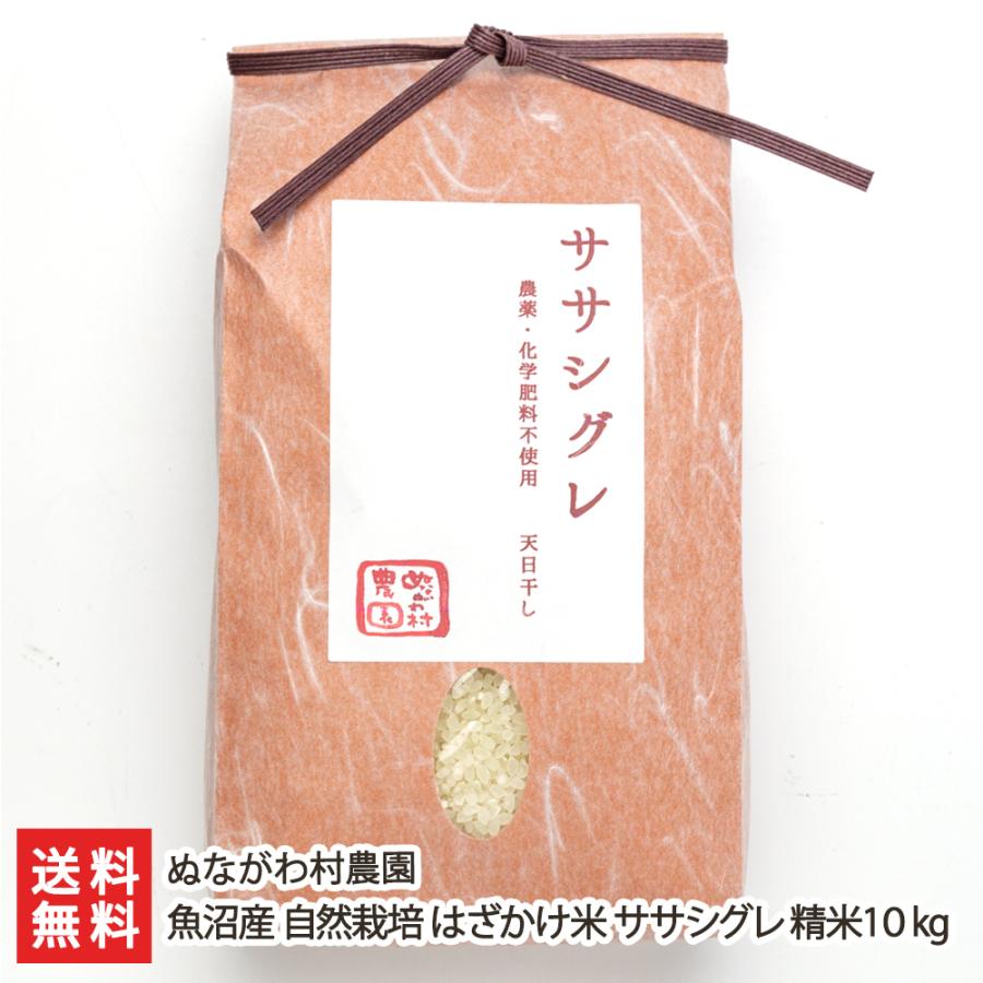 自然栽培米 幻の米 ササシグレ 令和6年産 玄米10kg(5kg✖️2袋)精米無料