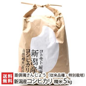 コシヒカリ 令和6年度産米 特別栽培米（減農薬・減化学肥料）新潟産