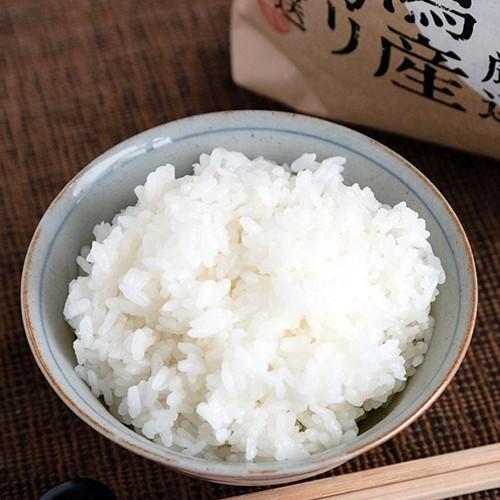コシヒカリ 令和6年度産米 特別栽培米（減農薬・減化学肥料）新潟産