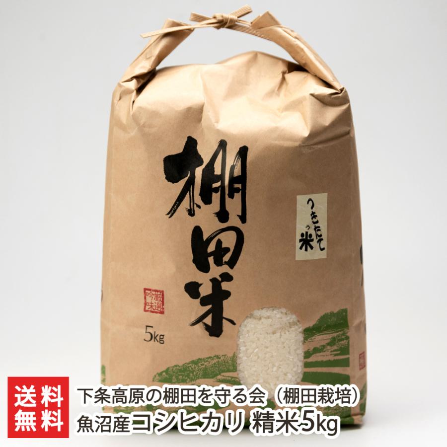 【令和5年度米】魚沼産コシヒカリ（棚田栽培）精米5kg/下条高原の棚田を守る会/ギフトにも！/のし無料/送料無料 父の日 お中元｜niigata-shop