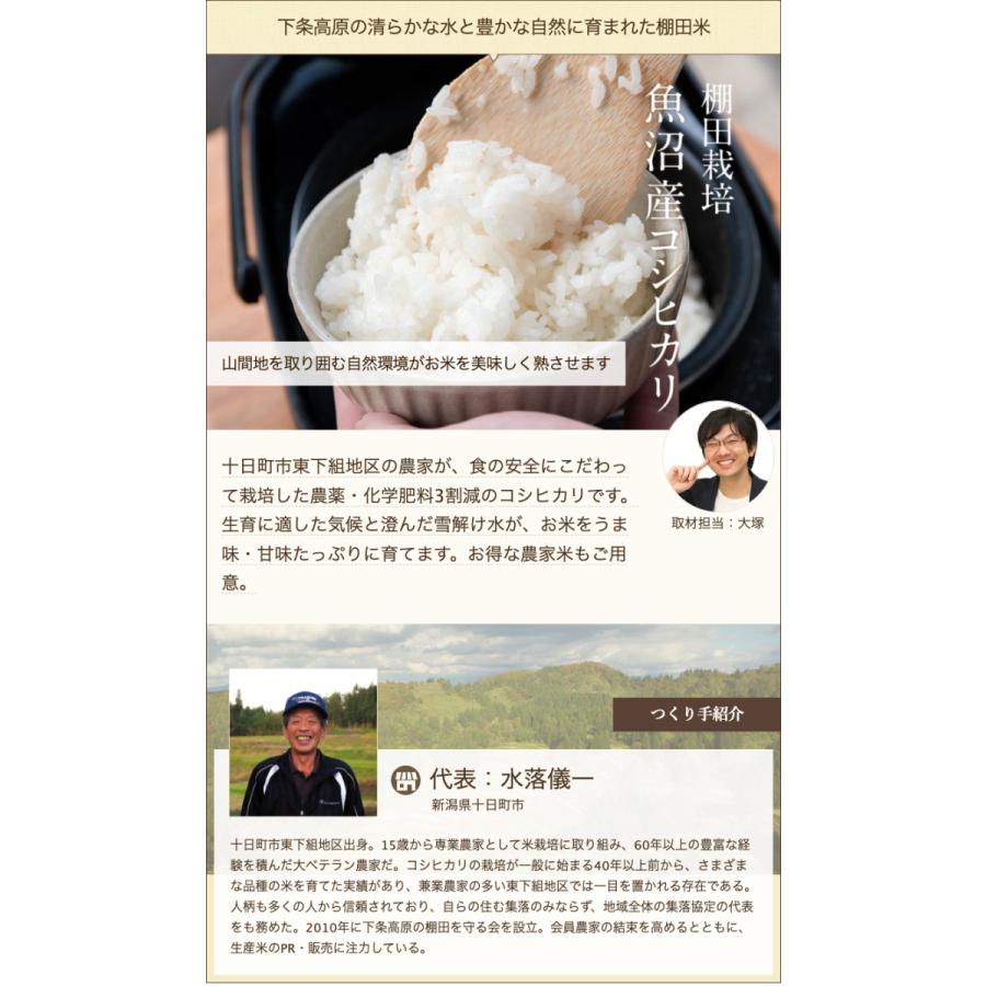 令和7年度⭐️魚沼産コシヒカリ 20kg (10kg×2袋)棚田米 食品 【令和7年度産】棚田米⭐️魚沼産コシヒカリ 10kg 精米