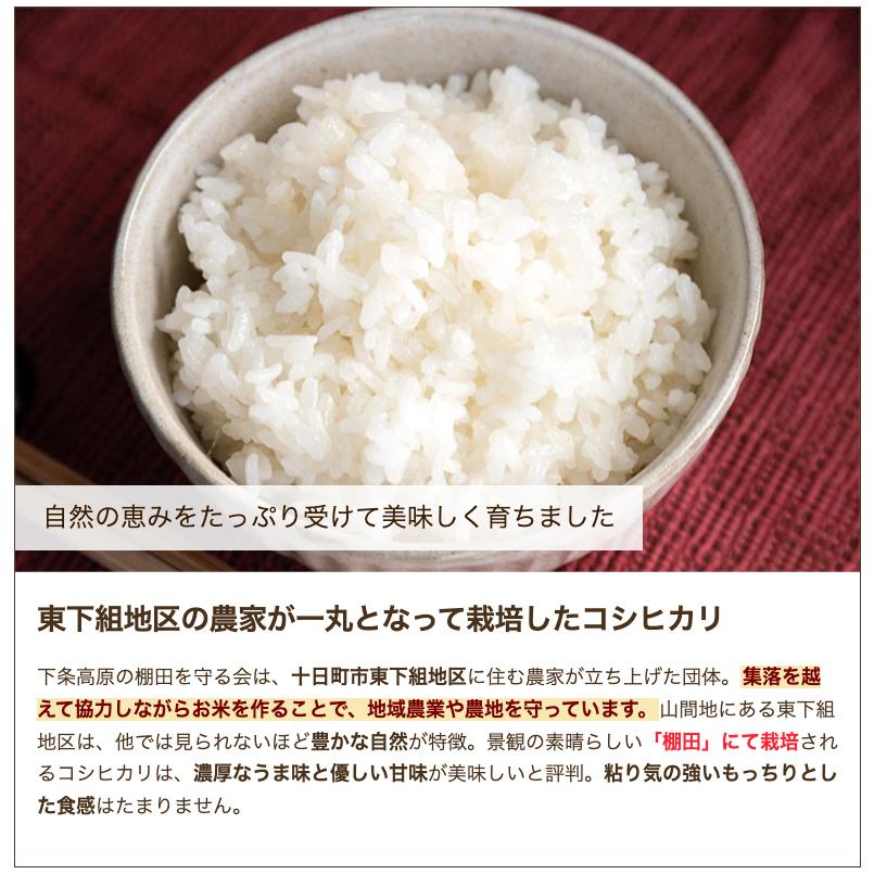食品 【令和7年度産】棚田米⭐️魚沼産コシヒカリ 10kg 精米
