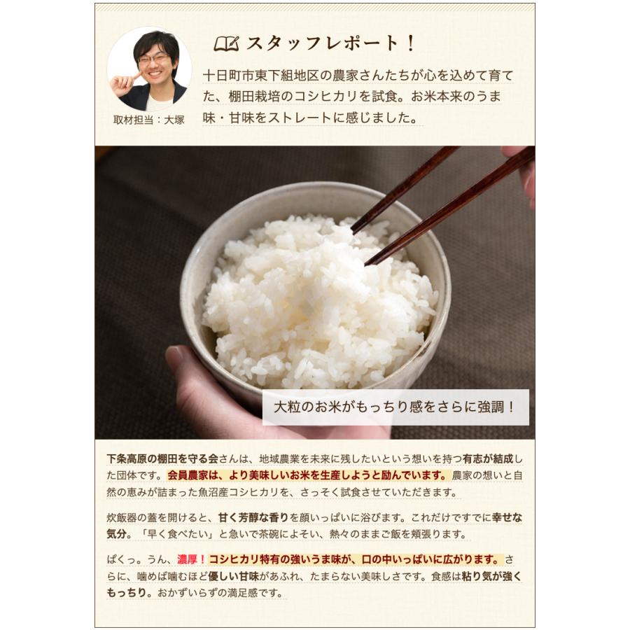 コシヒカリ 令和6年度産米 家庭用農家米 魚沼産コシヒカリ 棚田