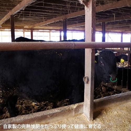【令和7年度米】南魚沼産 従来品種コシヒカリ 精米10kg（5kg×2）/ 農事組合法人 光/ギフトにも！/のし無料/送料無料_3