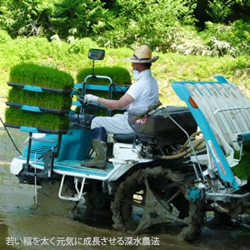 【令和7年度米】南魚沼産 従来品種コシヒカリ 精米10kg（5kg×2）/ 農事組合法人 光/ギフトにも！/のし無料/送料無料_4