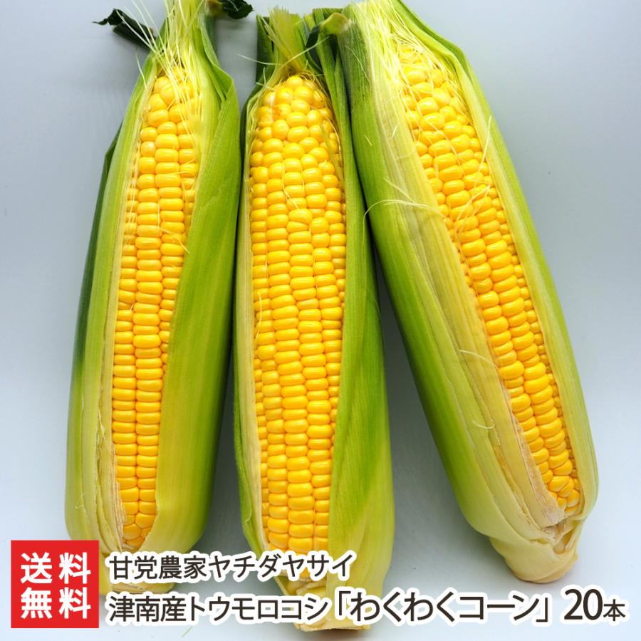 津南産トウモロコシ「わくわくコーン」20本/甘党農家ヤチダヤサイ/送料