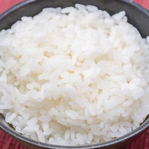 コシヒカリ 令和6年度産米 特別栽培米（減農薬・減化学肥料）新潟産